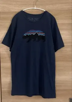 Patagonia Tシャツ パタゴニア