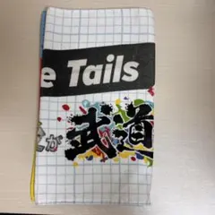 ワイテルズ 武道館 タオル