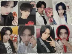 LUN8 カエル トレカ