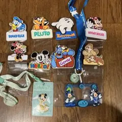 レトロ ビンテージ ディズニー パスケース ミッキー 希少 ジャンク