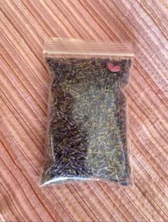 Item thumbnail for item f143bb4d-60b8-43dc-8e66-6a20bd5d6f2f