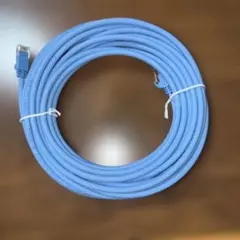 未使用 エレコム 10m LANケーブル CAT.5E