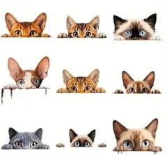 No.7275　のぞき見　猫の熱転写シート　９個セット　アイロン　ワッペン　ねこ