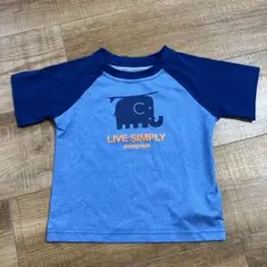 パタゴニア　ラッシュガード