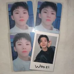 セブチ ウジ トレカ