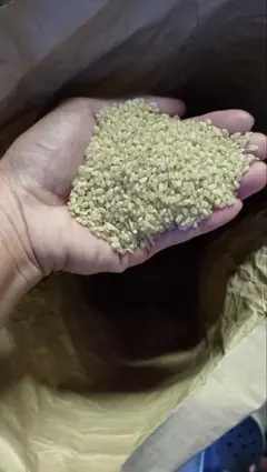 食味特A受賞記念！令和7年度伊賀産特別栽培米コシヒカリ 玄米10キロのサムネイル