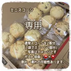 専用　ミニスコーン