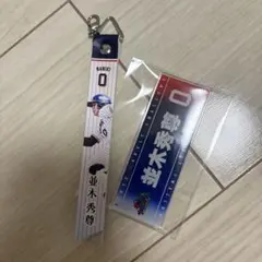 ヤクルトスワローズ マッチデーボンフィン 並木秀尊　スワポン