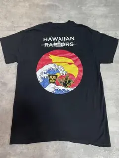 HAWAIIAN RAPTORS F-22 三沢基地航空祭　三沢基地　嘉手納基地 HAWAIIAN RAPTORS F-22 三沢基地航空祭 三沢基地 嘉手納基地 - メルカリ