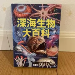 ぴのこのこ様 リクエスト 3点 まとめ商品