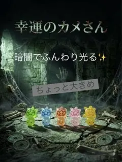 【数量限定】蓄光・暗闇で光る幸運のカメさん