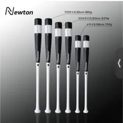 Newtonバットニュートンバット83cm960g用素振り、実打、万能バット
