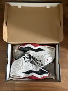 air Jordan　ビーロイヤル エアジョーダンのサムネイル