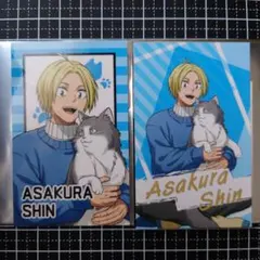 SAKAMOTO DAYS 楽 猫と戯れ 缶バッジ カード - メルカリ