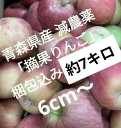 加工用 摘果りんご 大きめ 約10キロ 長野産 送料無料地域限定 167