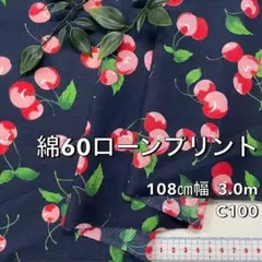 Item thumbnail for item db952fea-8a08-4dc4-ba92-562119f58a03