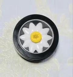 BIGBANG TAEYANG WHITE NIGHT ハンドスピナー