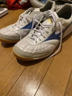 Item thumbnail for item 2f87bf2d-e674-4748-831a-ee7a91158cc1