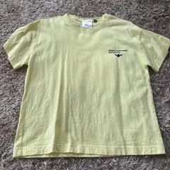 Item thumbnail for item b651b63a-f6c9-4ae8-9c56-9a007d09663c