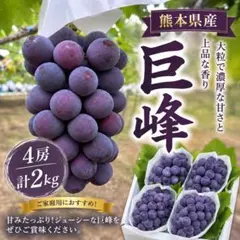 山梨産種なし巨峰 秀 大粒7房入/箱　5kgクール便 山梨産種なし巨峰 秀 大粒7房入/箱 5kgクール便 - メルカリ