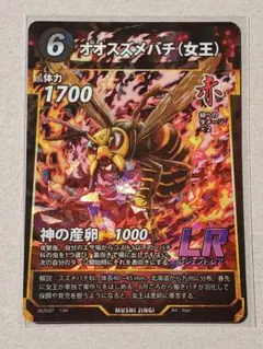 【まとめ売りのみ‼️】だんごむし　すずめばち　かまきり　多数 まとめ売りのみ‼️】だんごむし すずめばち かまきり 多数 【公式通販】