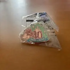 東京ディズニーリゾート 40周年記念 ピンバッジ ミッキーマウス