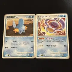 ミズゴロウ LV.6 ヌマクロー LV.21 1ED