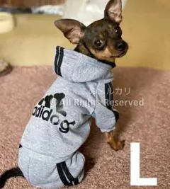 2025年最新】イタグレコートの人気アイテム - メルカリ