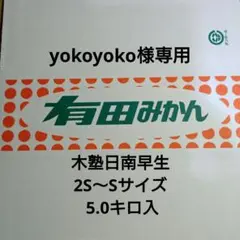 yokoyoko様専用 木塾日南早生 2S〜S 5.0キロ入 13-2