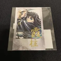 鬼滅の刃 幕間画集 冨岡義勇 webくじ 水柱 D賞 箔押しチェキ風