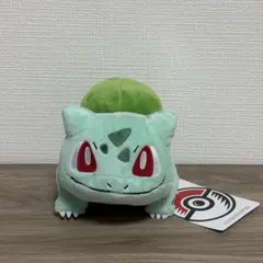 2026年最新】ポケモンセンター ぬいぐるみ タグ付きの人気アイテム