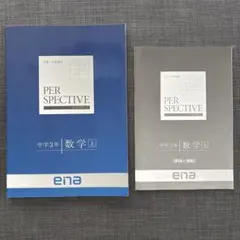 2026年最新】ena パースペクティブの人気アイテム - メルカリ