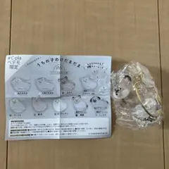 【未開封】うちの子のけだまだま 限定アソート 黒柴