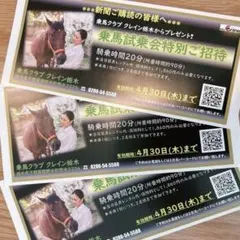 2026年最新】クレイン 騎乗券の人気アイテム - メルカリ