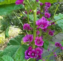 山ちゃん様 リクエスト 2点 まとめ商品