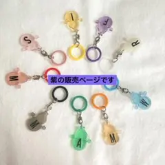 ハンドメイド　レジン　SnowMan めじるしアクセサリー　②
