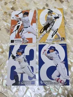 カルビープロ野球チップス2024 柳田悠岐 大城 関根 大島洋平