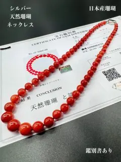 天然珊瑚 シルバーネックレス 証明書あり