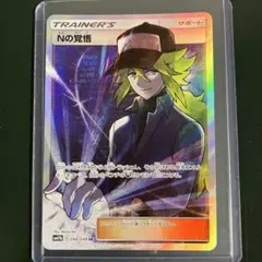 Nの覚悟　ポケモンカード