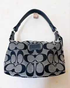 COACH OneShoulder Vanity Bag Signature 黒