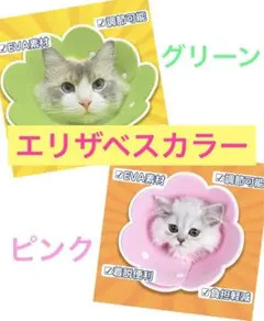 エリザベスカラー　グリーン　ピンク　 猫用 犬用 ソフト 着脱便利 傷舐め防止