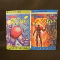 Item thumbnail for item 85268926-1f95-463f-8ee8-485fdf72fb68