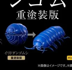 いきもの大図鑑アドバンス　ダンゴムシ（重塗装版） イリドダンゴムシ