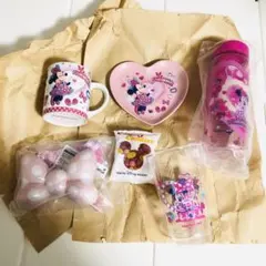 ミニーパルパルーザ ファンダーランド スーベニア マグカップ ボトル