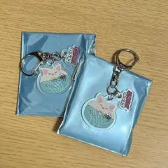 straykids SKZOO POP UP キーホルダー　フォクシニー