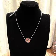 Item thumbnail for item 44e03d04-218a-4c71-9157-e62073036812