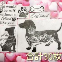 Item thumbnail for item 70e93c83-2504-4867-aca2-182f81754636