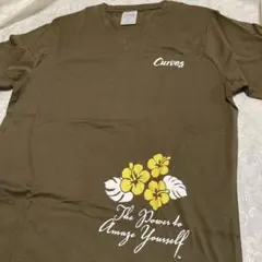 Curves ブラウン Vネック Tシャツ MA