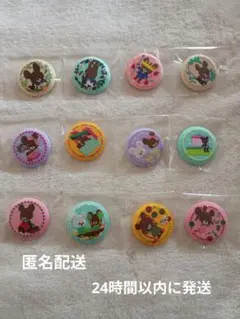 くまのがっこう 刺繍缶バッジ コンプリート 全12種（バラ売りOK）