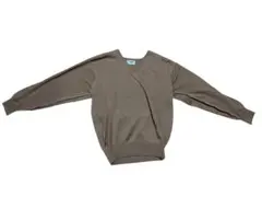 CROCODILE クロコダイル　メンズ　Vネックセーター　長袖　LL